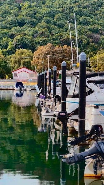 20 Rangimoana Avenue, Turangi - Carousel 12