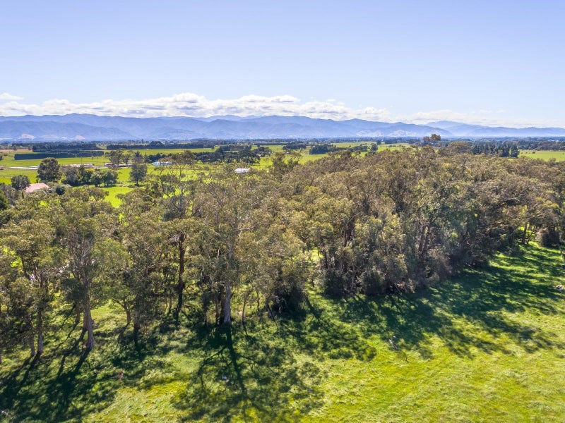 357 Kahutara Road, KAHUTARA - Carousel 1