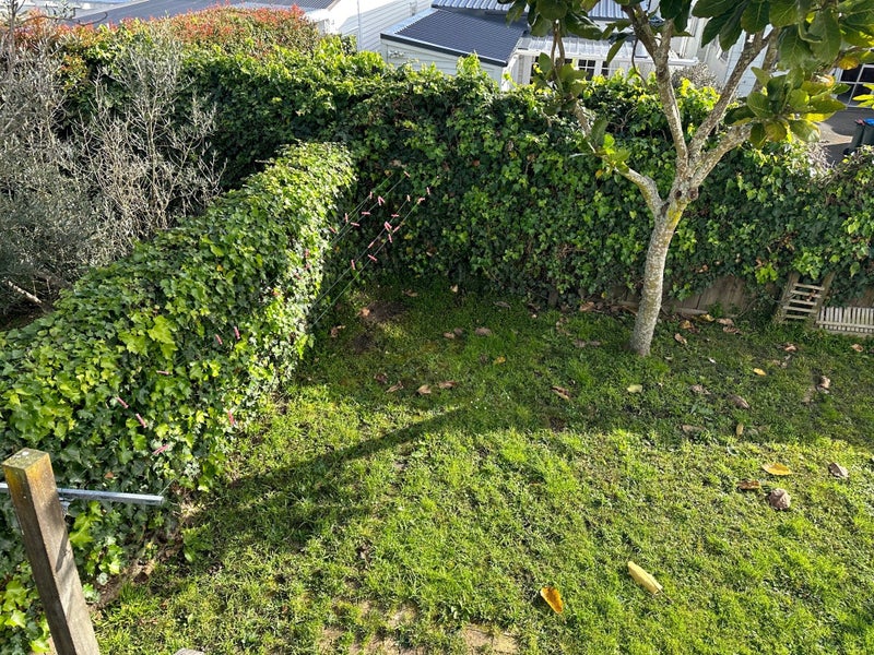 89 Islington Street, Ponsonby, Auckland - Carousel 14