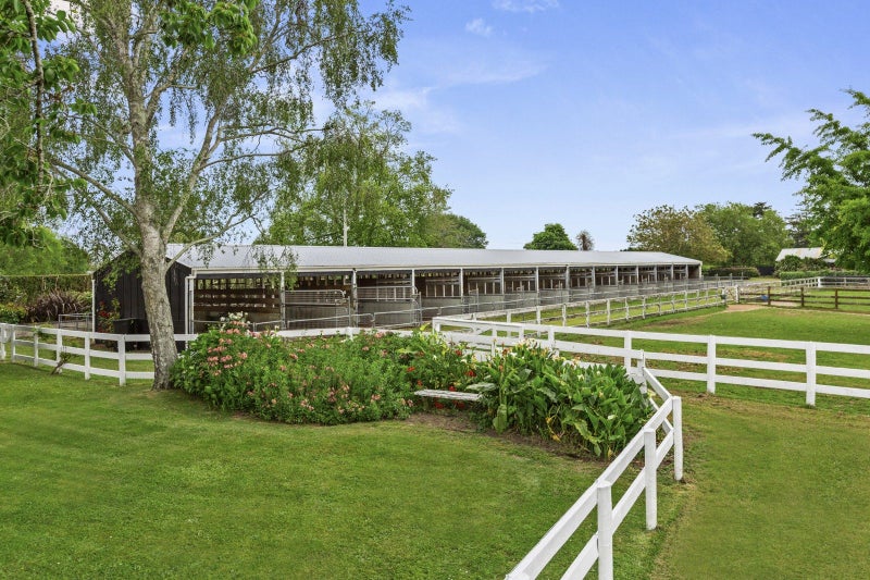 91 Forrest Hill Road, Milford, Auckland - Carousel 1