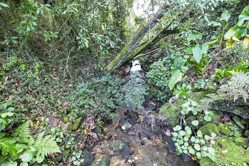 1 Kelvin Place, Hamilton East, Hamilton - Carousel 15