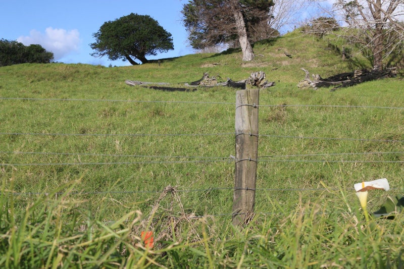 0 Motukiore, Horeke, Okaihau - Carousel 8