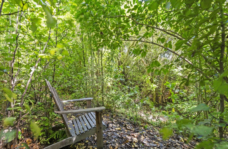 455 Awahuri Road, AWAHURI, PALMERSTON NORTH - Carousel 2