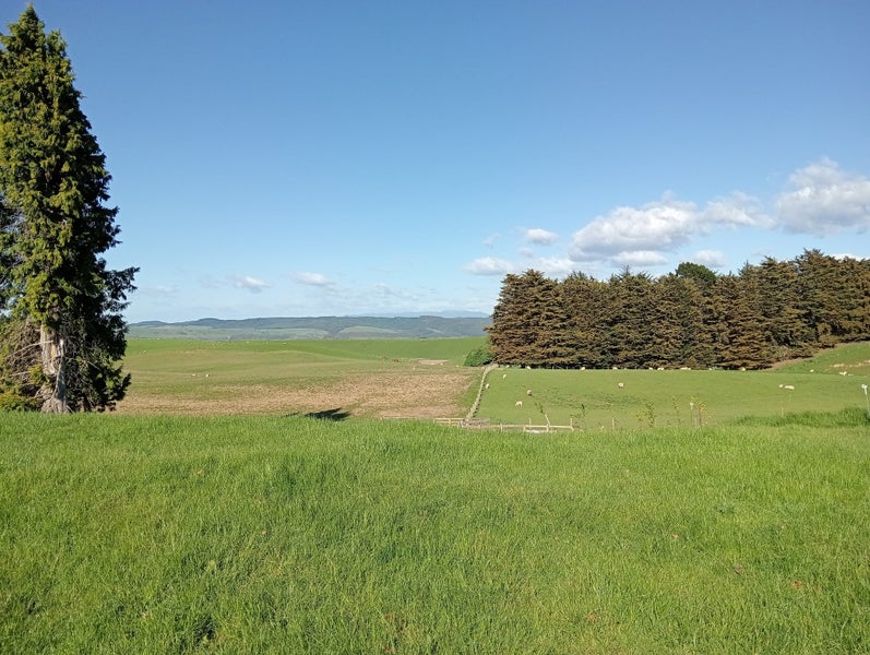 55 Otahu-Eastern Bush Road, EASTERN BUSH, OTAUTAU - Carousel 2
