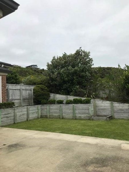 33 Aspiring Terrace, Aotea, Porirua - Carousel 15