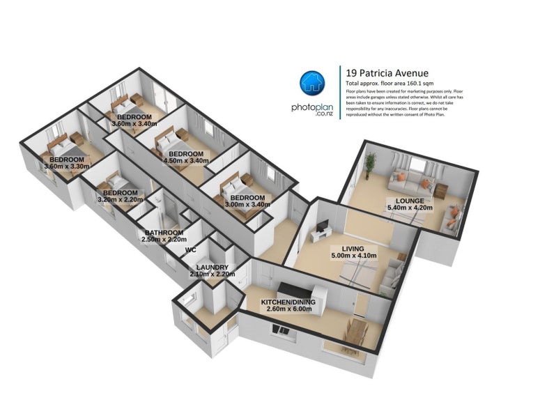 19 Patricia Avenue, Hamilton East, Hamilton - Carousel 12