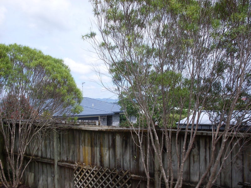 25 Brymer Road, Grandview Heights, Hamilton - Carousel 16