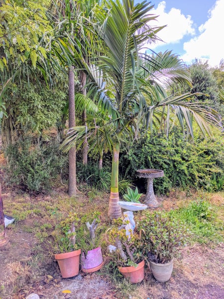 2990 Kaipara Coast Highway, Glorit, Warkworth - Carousel 16