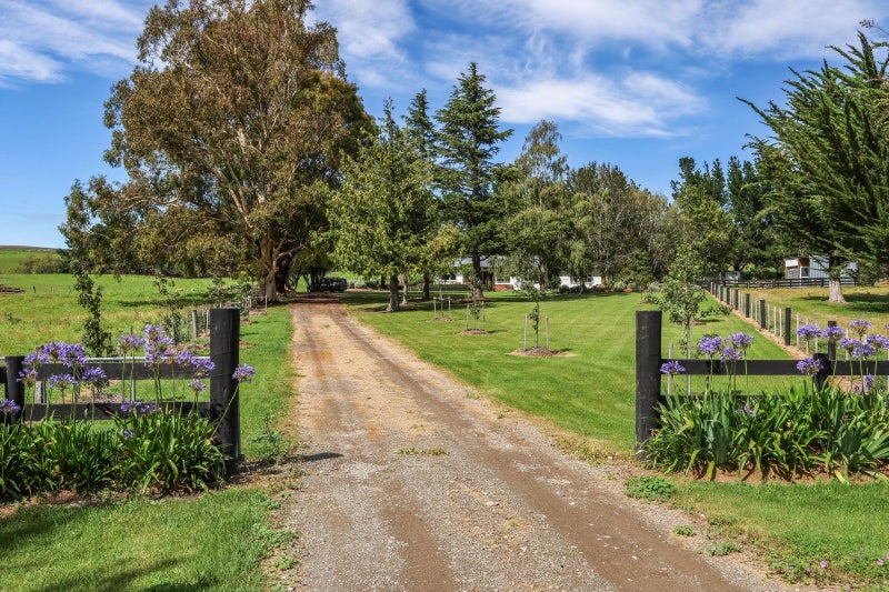 379 Pyramid Valley Road, Pyramid Valley, Waikari - Carousel 30