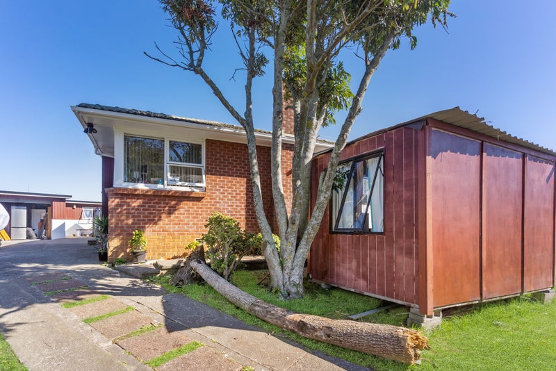 18 Winsford Street, Manurewa, Auckland - Carousel 28