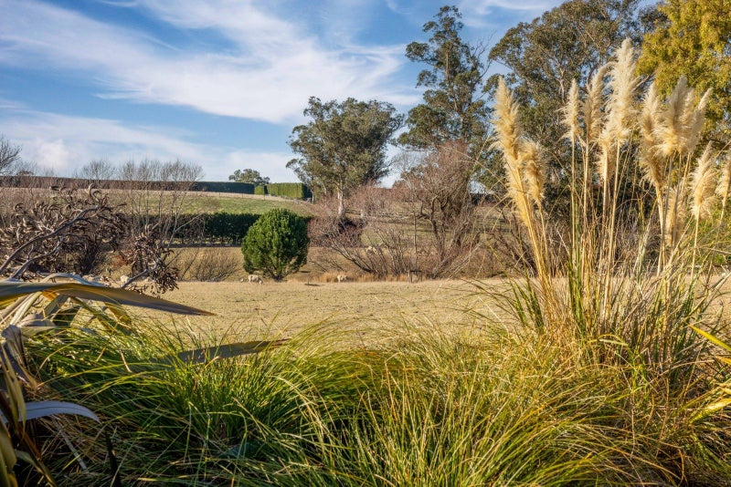 230 Beatties Road, Ashley, Rangiora - Carousel 26