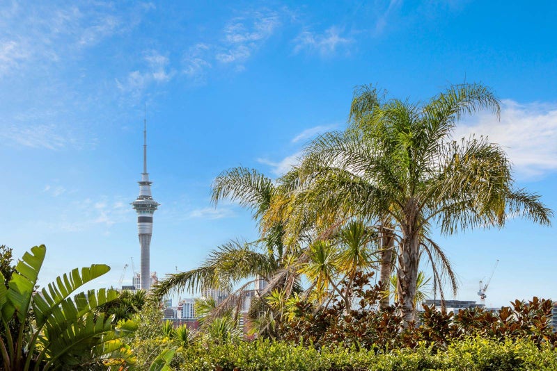 29 Franklin Road, Freemans Bay, Auckland - Carousel 13