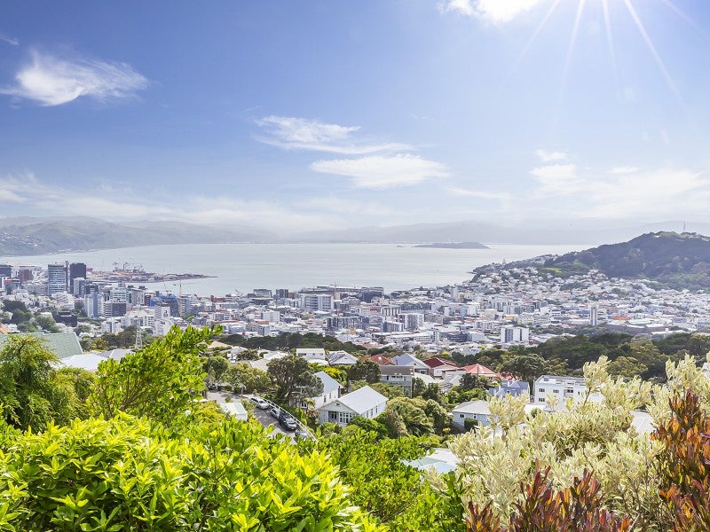 33 Mitchell Street, Brooklyn, Wellington - Carousel 19