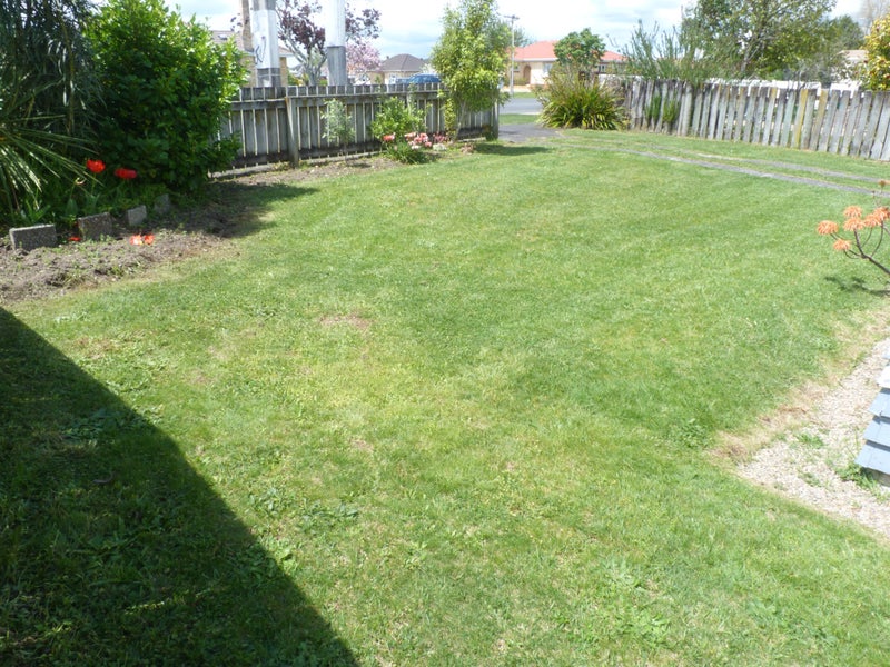 17 Balloch Street, Fairfield, Hamilton - Carousel 2