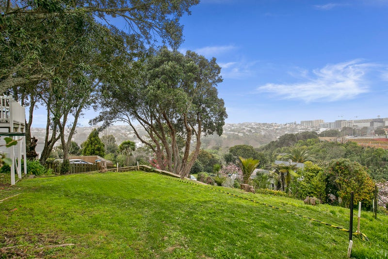 19A Ayr Street, Parnell, Auckland - Carousel 2