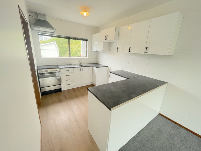 6/14 Hayden Street, Freemans Bay, Auckland - Carousel 10