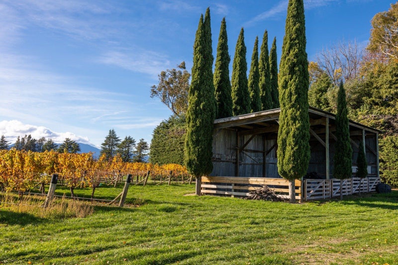 322 Middle Renwick Road, SPRINGLANDS, BLENHEIM - Carousel 2