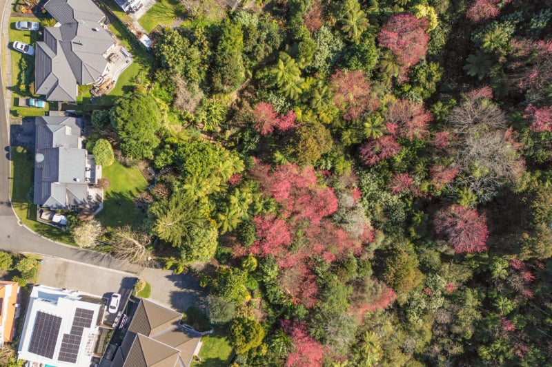 3 Curlew Close, Maungatapu, Tauranga - Carousel 50