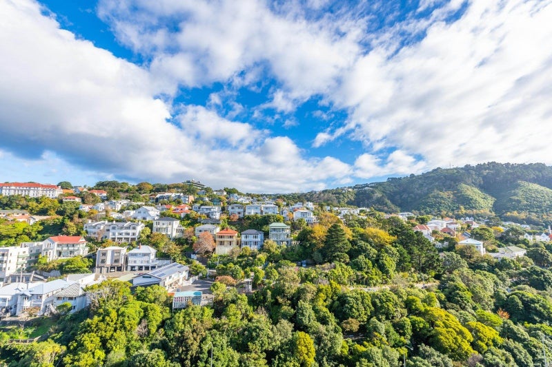 14A/120 The Terrace, Wellington Central, Wellington - Carousel 14