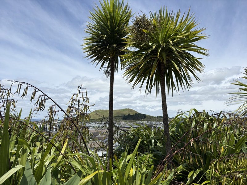 17 Magma Crescent, Stonefields, Auckland - Carousel 2