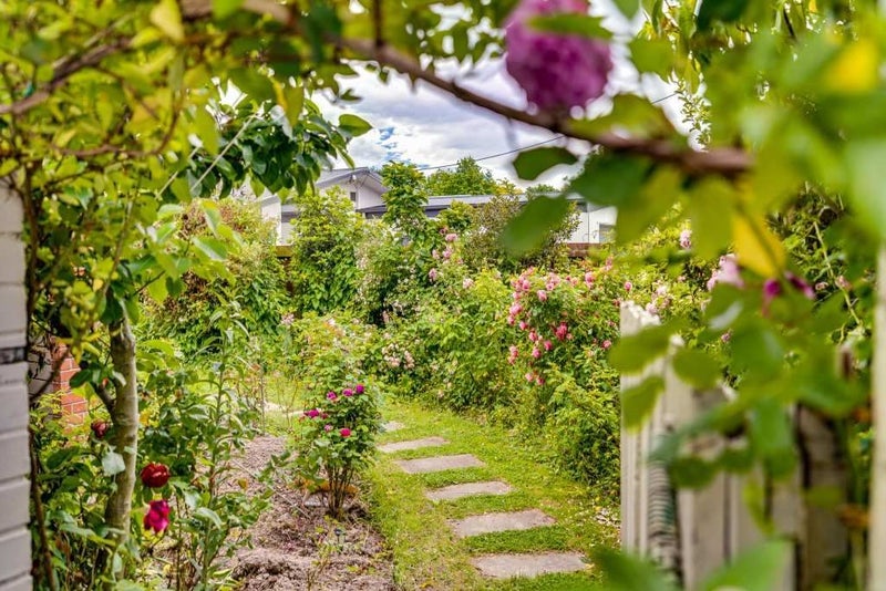 317 Withells Road, Avonhead, Christchurch - Carousel 21