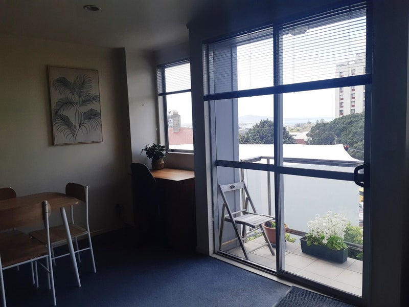 2I/127 Grafton Road, Grafton, Auckland - Carousel 12