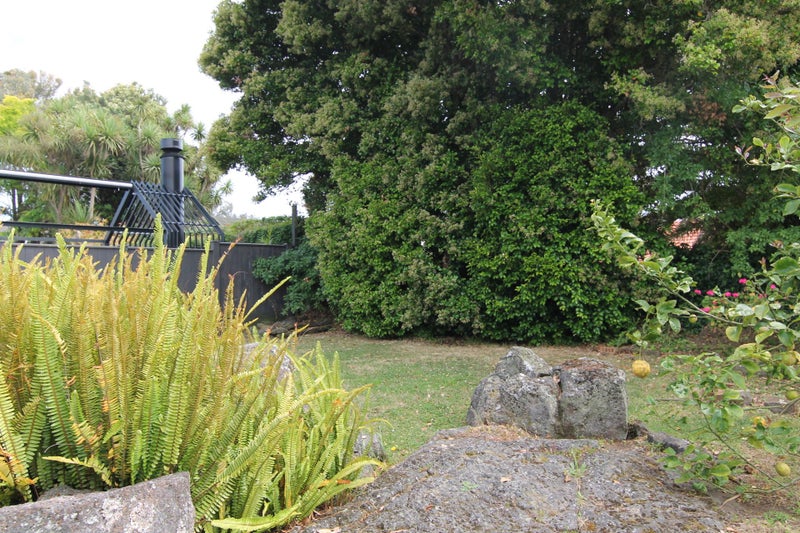 14 Massey Avenue, Greenlane, Auckland - Carousel 19