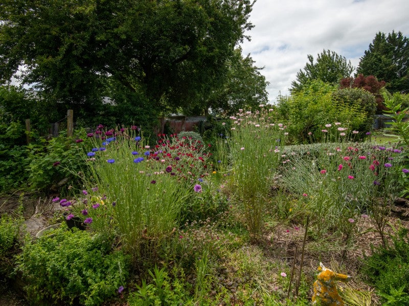 65 Michael Street, Rakaia, Rakaia - Carousel 20