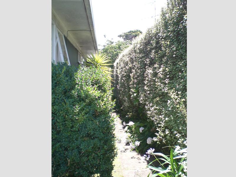 1/25 Thatcher Street, Mission Bay, Auckland - Carousel 13