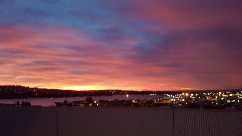 20 Canongate, Dunedin Central, Dunedin - Carousel 7