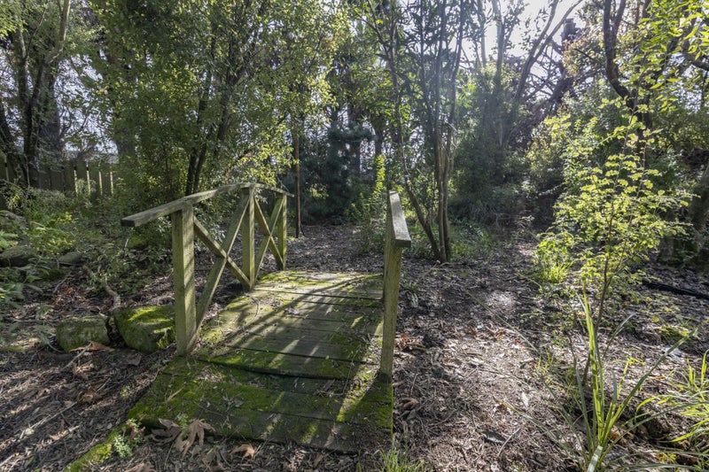 289 Rattletrack Road, Christchurch - Carousel 35