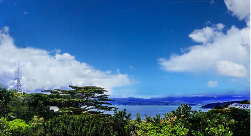 56 Old Porirua Road, NGAIO 6035, WELLINGTON - Carousel 14