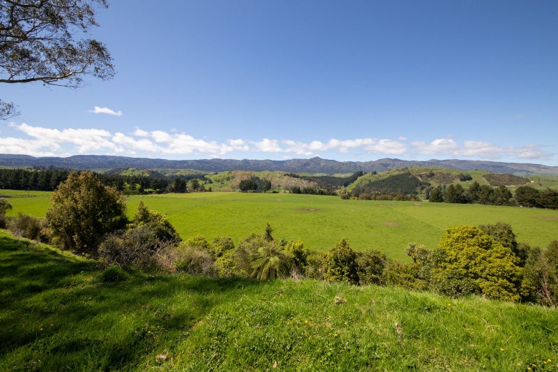 2393 Pohangina Road, Pohangina, Ashhurst - Carousel 50