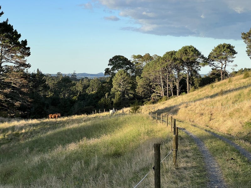 38 Windridge Lane, Katikati - Carousel 13