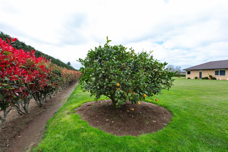 12 Bilsthorpe Lane, Matangi, Hamilton - Carousel 26