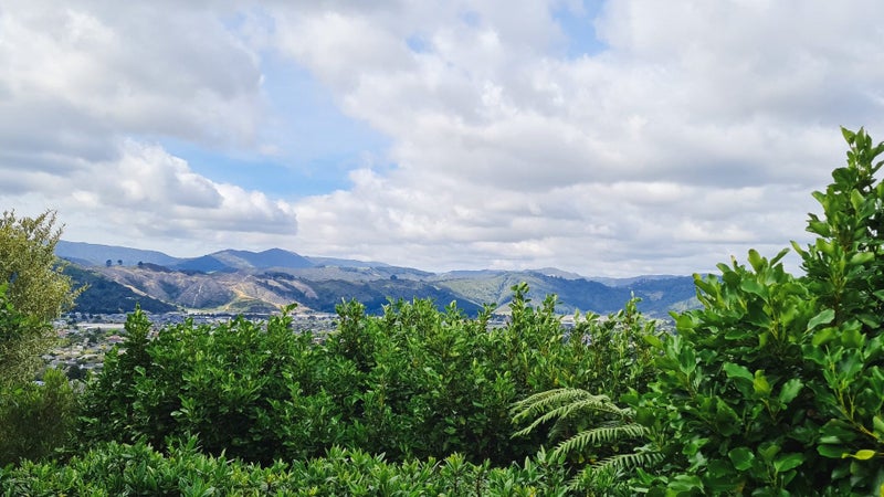 9 James Nairn Grove, Riverstone Terraces, Upper Hutt - Carousel 21