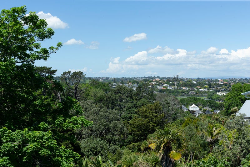 16 Laurie Avenue, Parnell, Auckland - Carousel 16