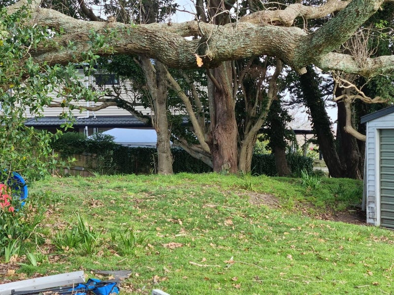 49 Hillcrest Road, Papatoetoe, Auckland - Carousel 10