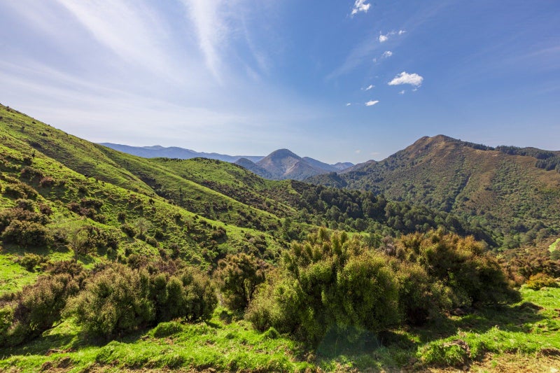0 Paget Road, Takapau, Takapau - Carousel 23