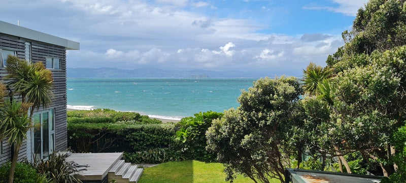 3A Hector Street, Seatoun, Wellington - Carousel 14