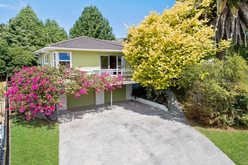 20 Temuri Place, Glendene, Auckland - Carousel 1