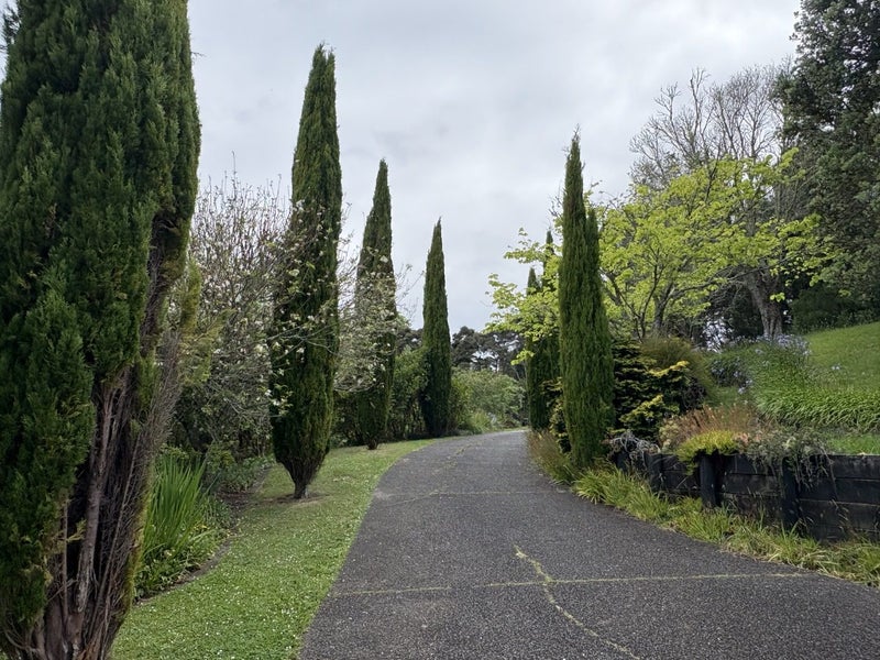 50 Godley Lane, Lucas Heights, Auckland - Carousel 16