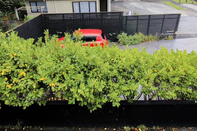 52 Ellice Street, Mount Victoria, Wellington - Carousel 16