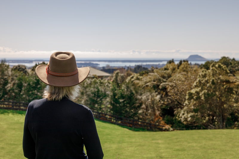 727 Esdaile Road, Tauranga - Carousel 2