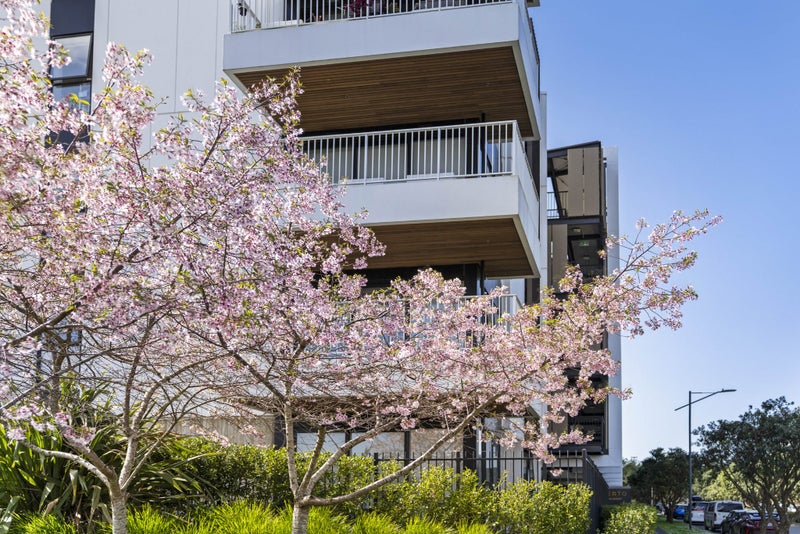 108/3 Bluegrey Avenue, Stonefields, Auckland - Carousel 1