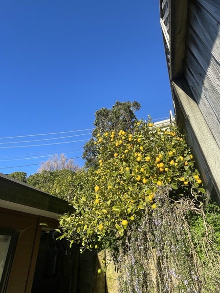 2/15 Glanmire Road, Newlands, Wellington - Carousel 2