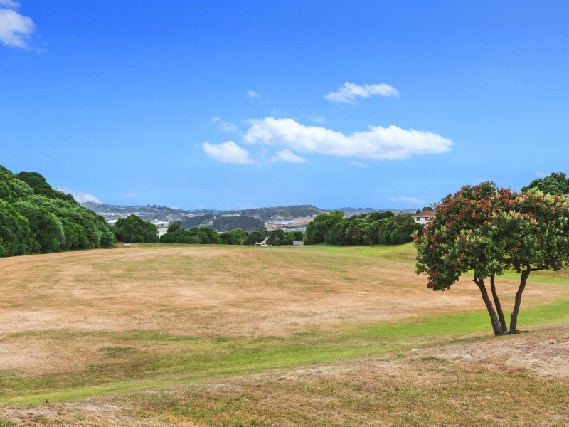 91 Rangituhi Crescent, Takapuwahia, Porirua - Carousel 18