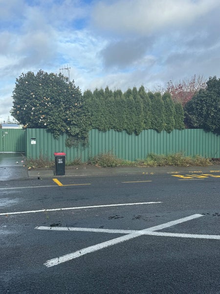 102 Murdoch Road West, Raureka, Hastings - Carousel 2