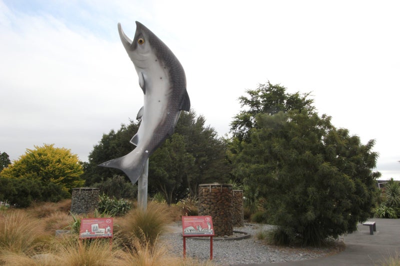 112 BOWEN STREET, Rakaia, ASHBURTON - Carousel 7