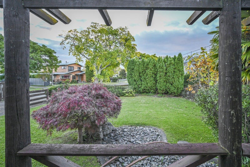 14 Martin Dale, Raureka, Hastings - Carousel 21